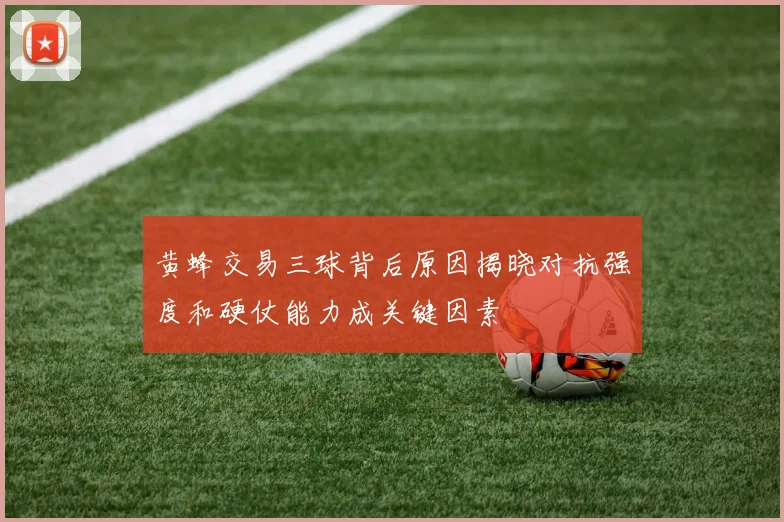 黄蜂交易三球背后原因揭晓对抗强度和硬仗能力成关键因素